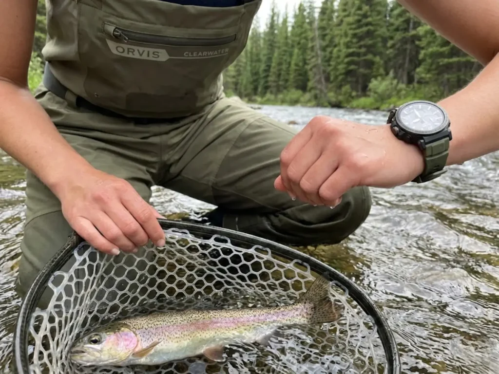 Angler checking watch while holding trout in net, tracking 60-second handling window