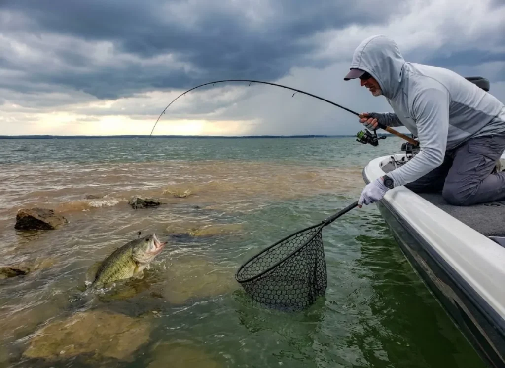 Angler fighting largemouth bass on wind-blown point with visible mudline in choppy conditions