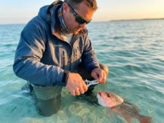 Where You Hook a Fish Decides If It Lives or Dies Angler cutting fishing line on deep-hooked red snapper to maximize survival, conservation catch and release technique