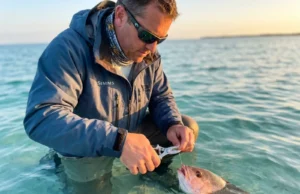Where You Hook a Fish Decides If It Lives or Dies Angler cutting fishing line on deep-hooked red snapper to maximize survival, conservation catch and release technique