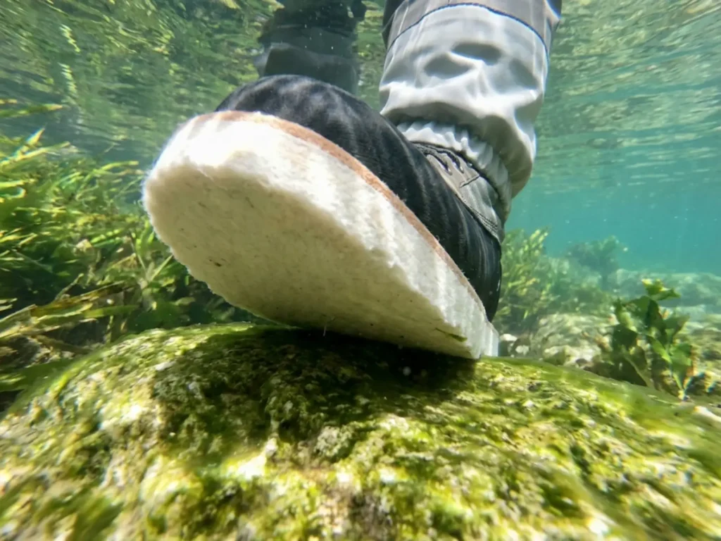 Close up of Patagonia felt sole wading boot gripping a slimy rock underwater