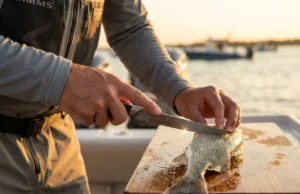 Fillet Fish Cleanly With These Flexible Knives A professional angler with pristine hands holding a high-end flexible fillet knife over a fresh catch on a boat deck during sunset, highlighting the sharp steel blade.