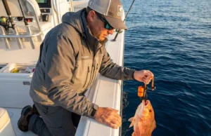 Best Fish Descending Devices (2026): One-Handed Use Rated Angler using SeaQualizer fish descending device to release red snapper in Gulf of Mexico