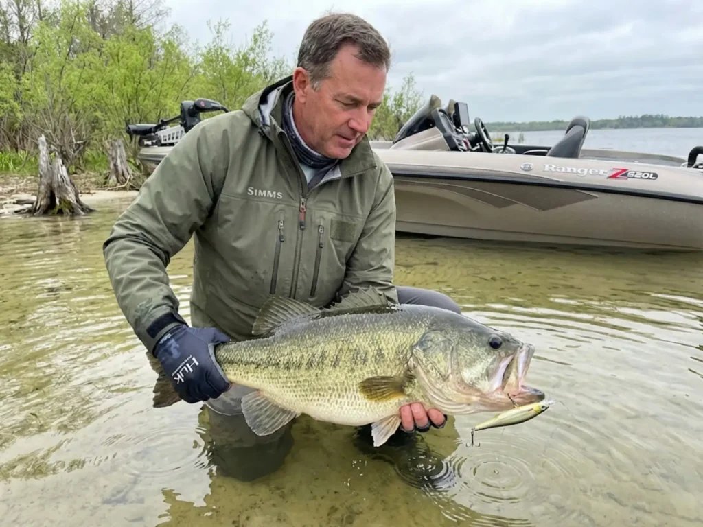 Fishing guide holding trophy Florida-strain largemouth bass in Lake Fork shallow water with Ranger bass boat