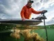 Predict Fish Movements During Rapid Water Level Changes Split-level photography of a pro angler on a bass boat above turbulent mixing water currents, wearing a Simms rain jacket, dramatic storm lighting.