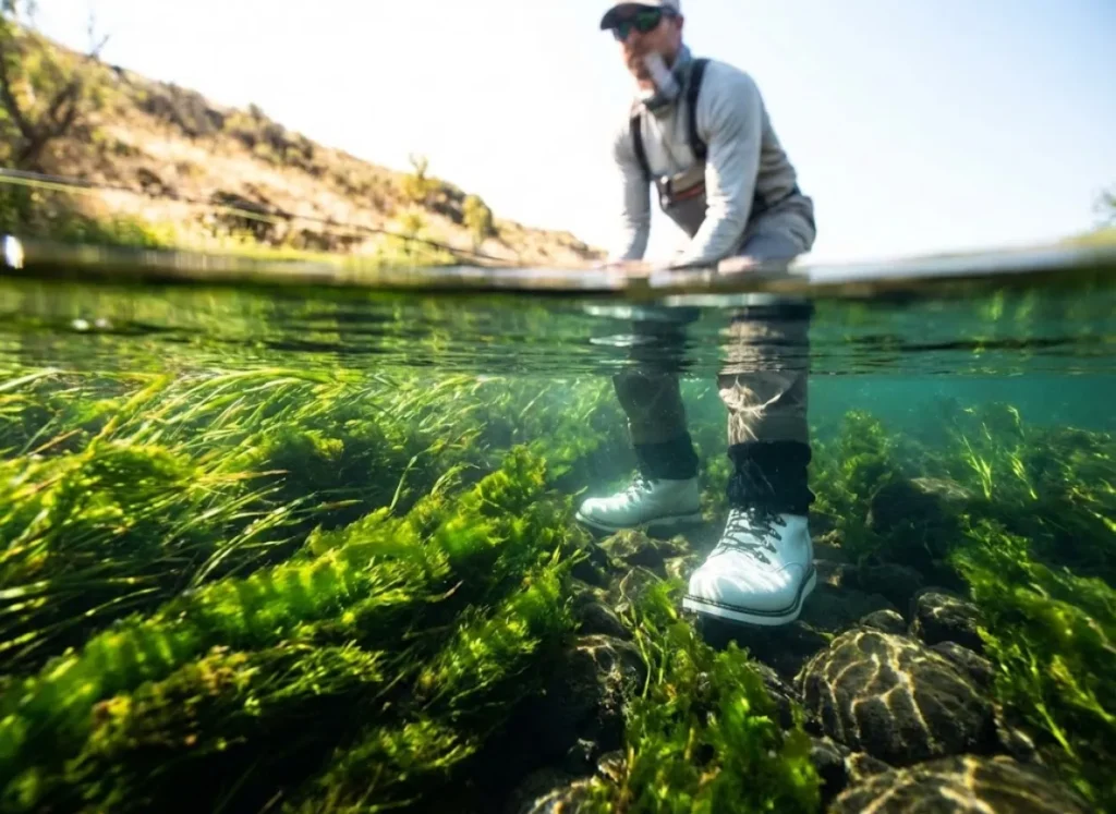 Split-level underwater camera shot showing crystal clear tailwater river flow with lush green aquatic vegetation and wading boots.