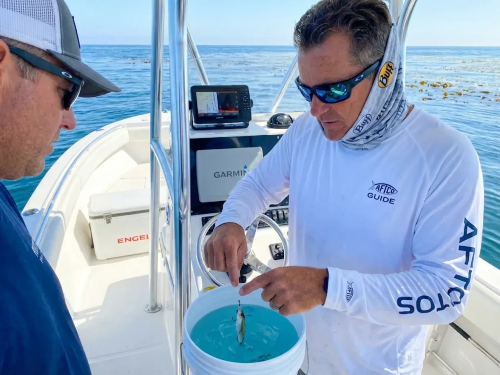 Fishing guide diagnosing live bait rigging problem and demonstrating proper hook placement correction technique
