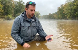 Water Turbidity Lure Visibility Explained: From Physics to Practice Angler selecting lures while wading in turbid stained water considering color visibility options