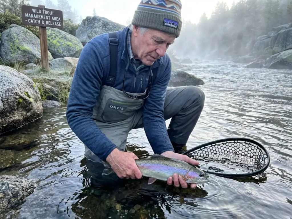Angler practicing proper catch and release technique for wild rainbow trout conservation