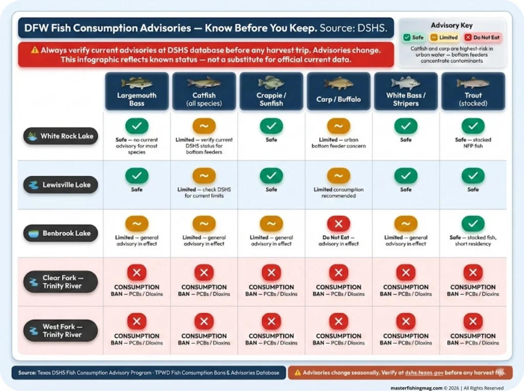 DFW fish safety matrix infographic showing green safe, yellow limited consumption, and red consumption ban ratings for White Rock Lake, Lewisville Lake, Benbrook Lake, and Trinity River forks across multiple species groups, sourced from DSHS.