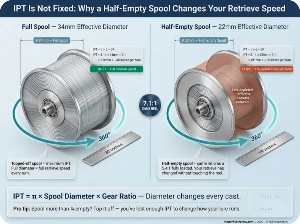 Side-by-side infographic comparing a full 34mm spool at 30 IPT versus a half-empty 22mm effective diameter spool at 19 IPT on the same 7.1:1 reel, with concentric circle line level visualization and IPT formula.