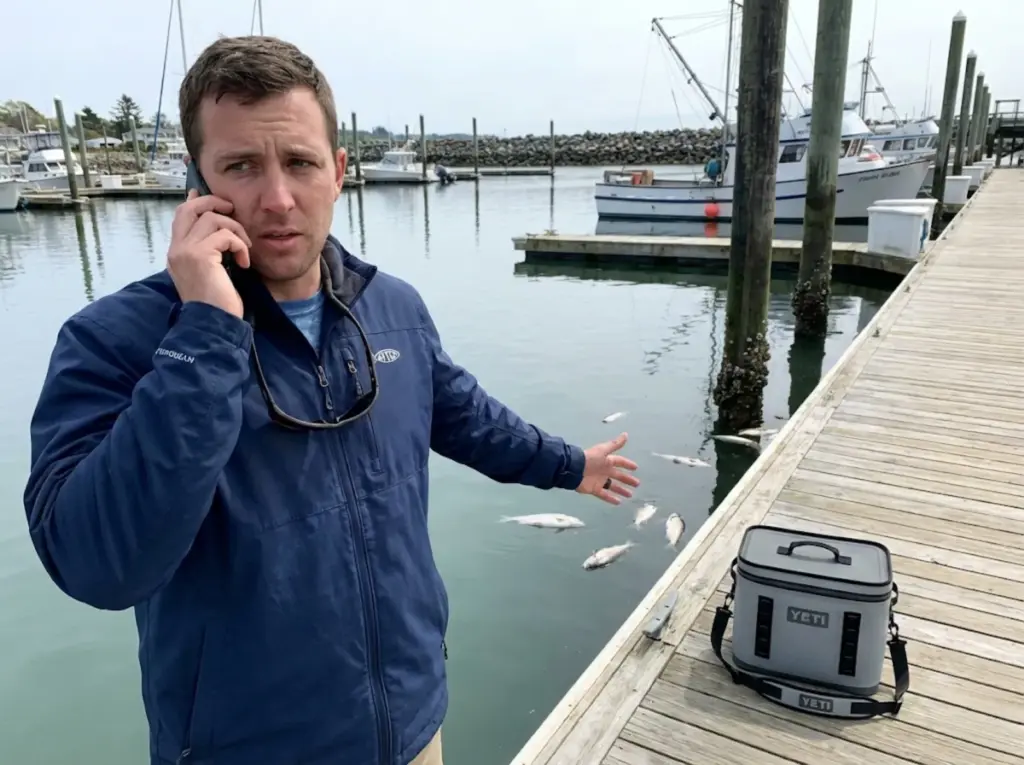 Angler calling state fish kill hotline from a boat dock to report dead fish in the water