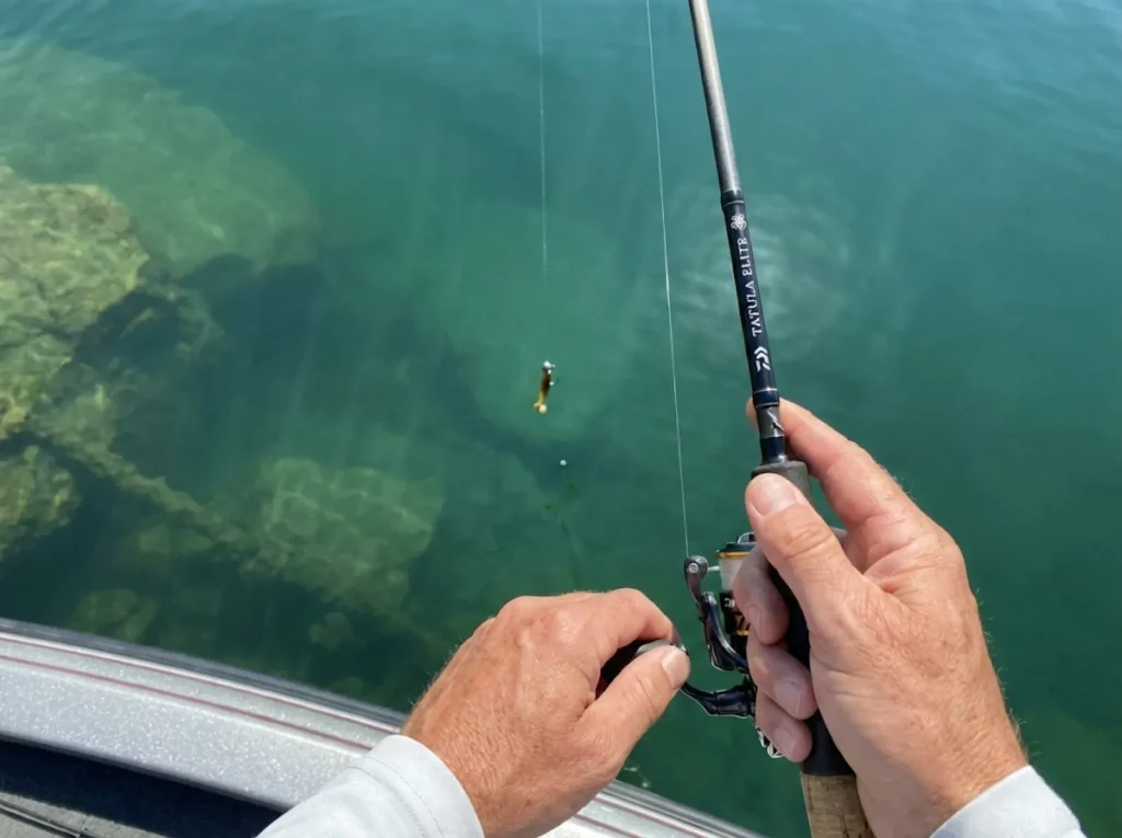 Fluorocarbon line and Ned Rig falling through clear water showing light line visibility advantage