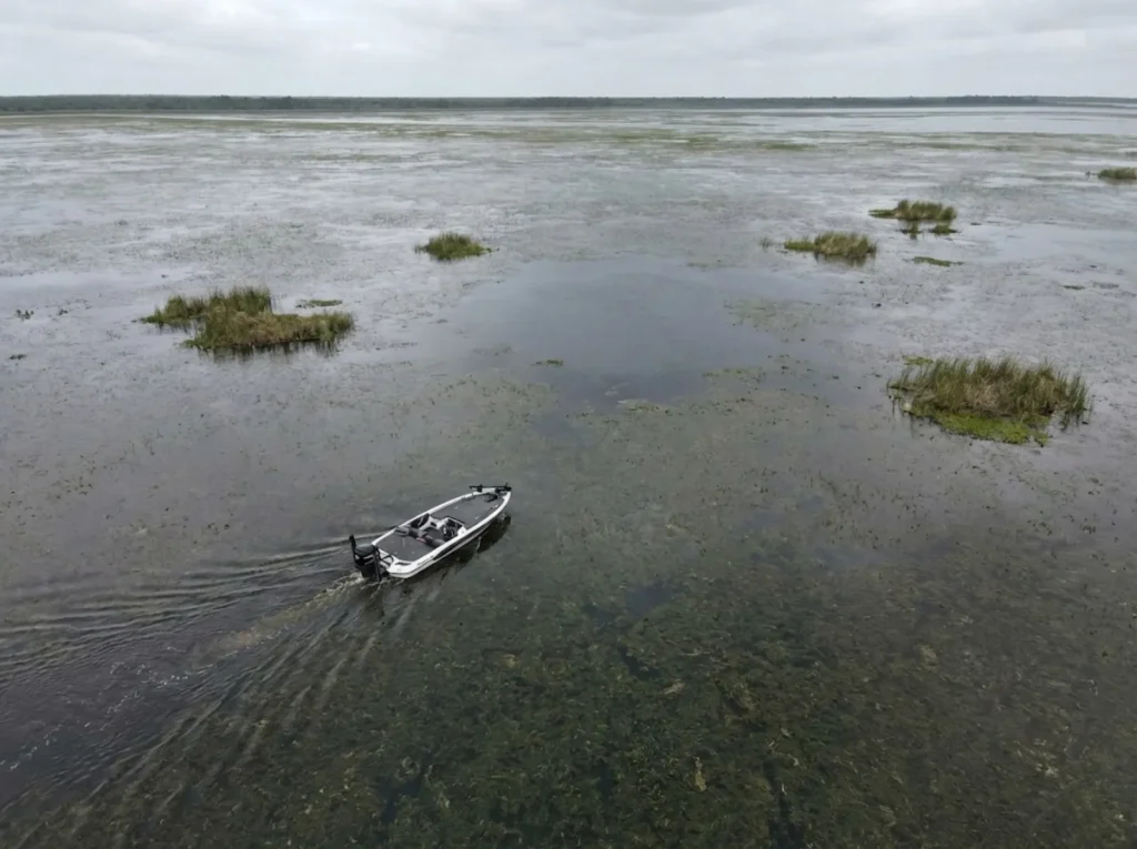 Bass boat navigating vast shallow waters of Lake Okeechobee surrounded by hydrilla grass mats