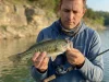 Spotted Bass Aren’t Largemouth. Stop Fishing Them Wrong Angler holding a spotted bass over rocky reservoir water — identifying the species up close