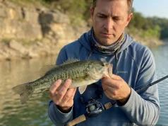 Spotted Bass Aren’t Largemouth. Stop Fishing Them Wrong Angler holding a spotted bass over rocky reservoir water — identifying the species up close