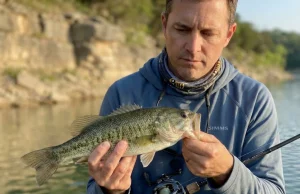 Spotted Bass Aren’t Largemouth. Stop Fishing Them Wrong Angler holding a spotted bass over rocky reservoir water — identifying the species up close
