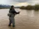 How to Fish Spring Runoff in High Muddy Water Fly angler casting into muddy spring runoff water on mountain river