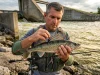 Is That a Saugeye or Walleye? The Dorsal Test Decides Angler examining saugeye dorsal fin for identification at Ohio reservoir spillway