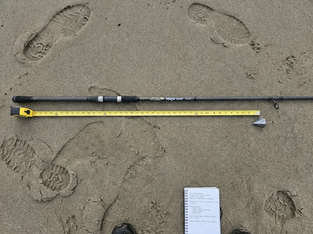 Overhead view of a surf rod laid on sand with the sinker drop measured at two-thirds of rod length using a tape measure