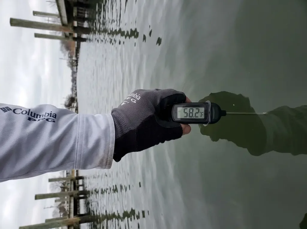 Angler checking water temperature with a thermometer in a Florida inshore canal during winter