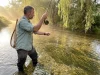 12 Best Trout Streams in Pennsylvania and Catskills Angler fly fishing a misty Pennsylvania limestone creek at dawn with wild trout rising