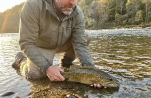 5 Reasons Freshwater Mussels Matter to Anglers Angler releasing smallmouth bass in clear rocky river with native mussel shells visible on streambed