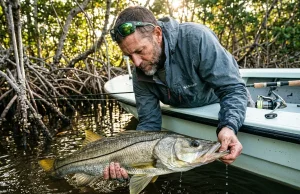 Snook Inshore After 20 Years: This Pattern Holds Angler practicing effective catch-and-release, demonstrating key snook fishing inshore tactics and seasonal patterns.