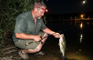 5 Night Bass Fishing Mistakes That Blow Summer Bites Angler landing a largemouth bass on a shallow flat during summer night fishing with headlamp
