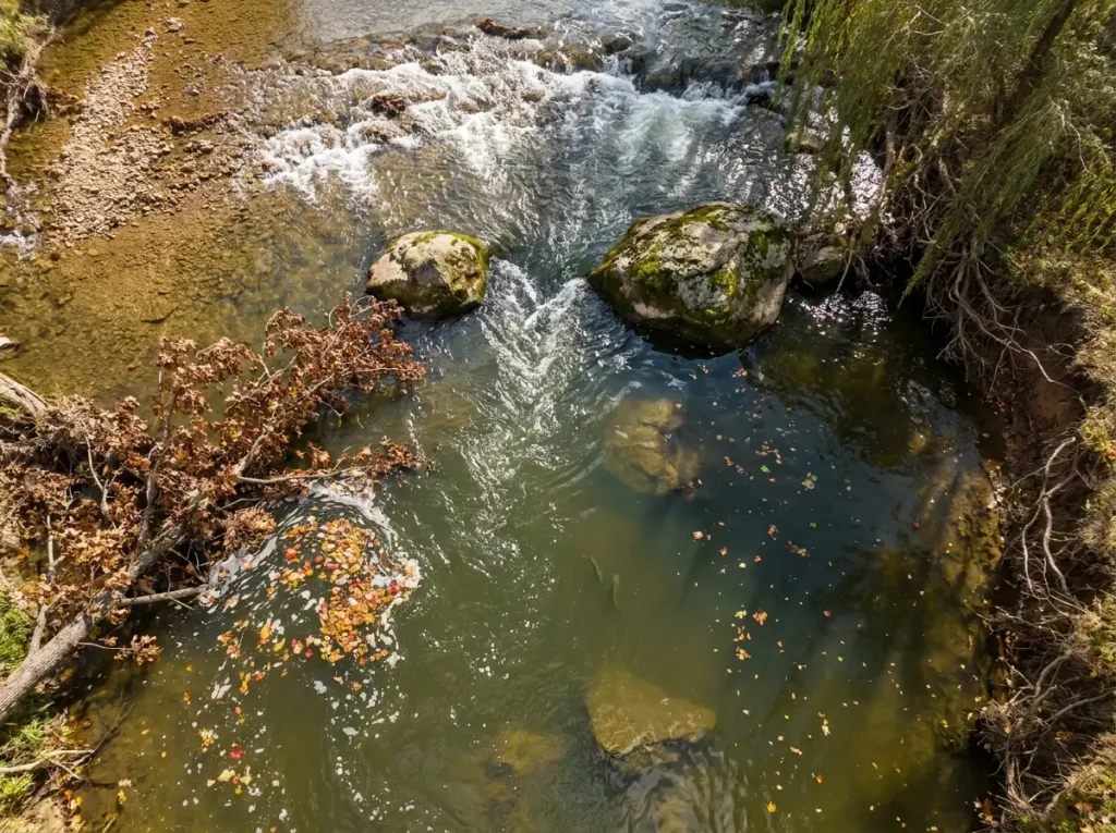 Overhead view of a river showing a deep pool with current seams and riffle transition
