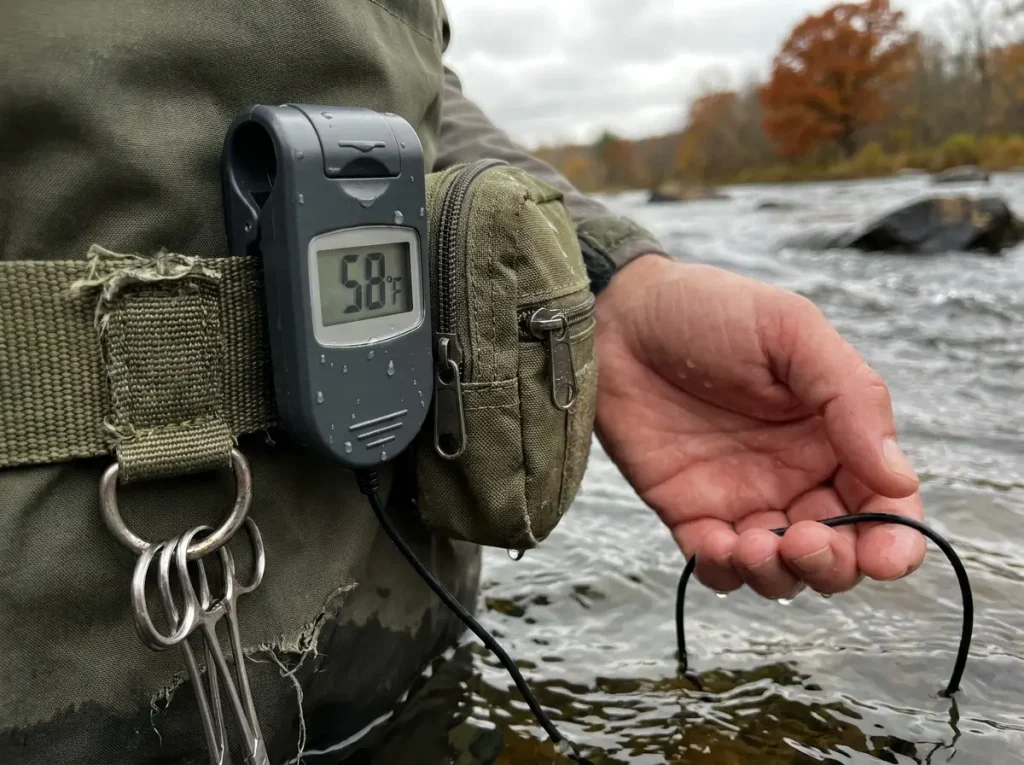Water temperature gauge clipped to a wading belt beside an autumn river