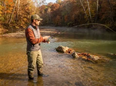 Why Fall Smallmouth Move and Where They Stop Angler wading a fall river casting for smallmouth bass among autumn-colored trees