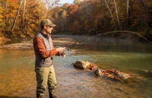 Why Fall Smallmouth Move and Where They Stop Angler wading a fall river casting for smallmouth bass among autumn-colored trees