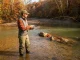 Why Fall Smallmouth Move and Where They Stop Angler wading a fall river casting for smallmouth bass among autumn-colored trees
