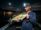 How to Catch Largemouth Bass at Night Angler holding largemouth bass at night on a still lake, headlamp casting soft glow over the water