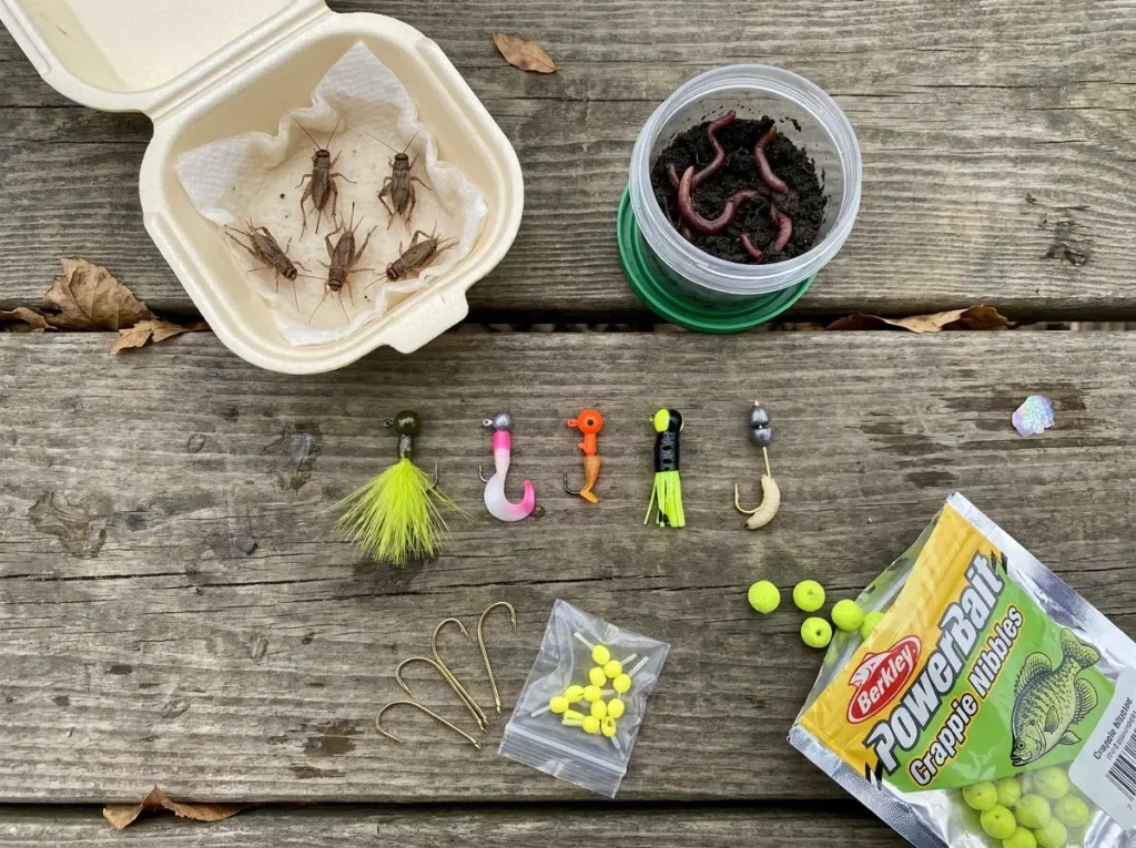 Live bait and small jigs arranged for panfish slip bobber fishing