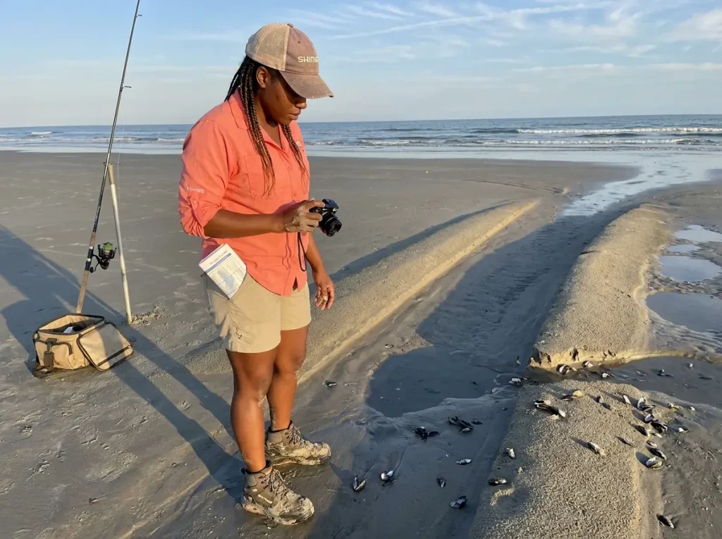 Angler studying surf structure at low tide identifying sandbars and troughs