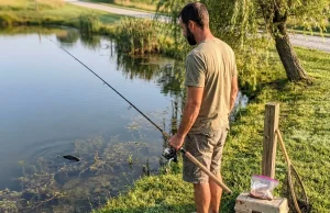 Stop Fishing Deep — Summer Carp Want the Shallows Angler sight-fishing for carp in shallow summer water with polarized sunglasses and light tackle