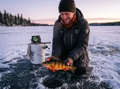 7 Yellow Perch Ice Fishing Tips Guides Use Daily Angler holding a jumbo yellow perch over an ice fishing hole on a frozen lake