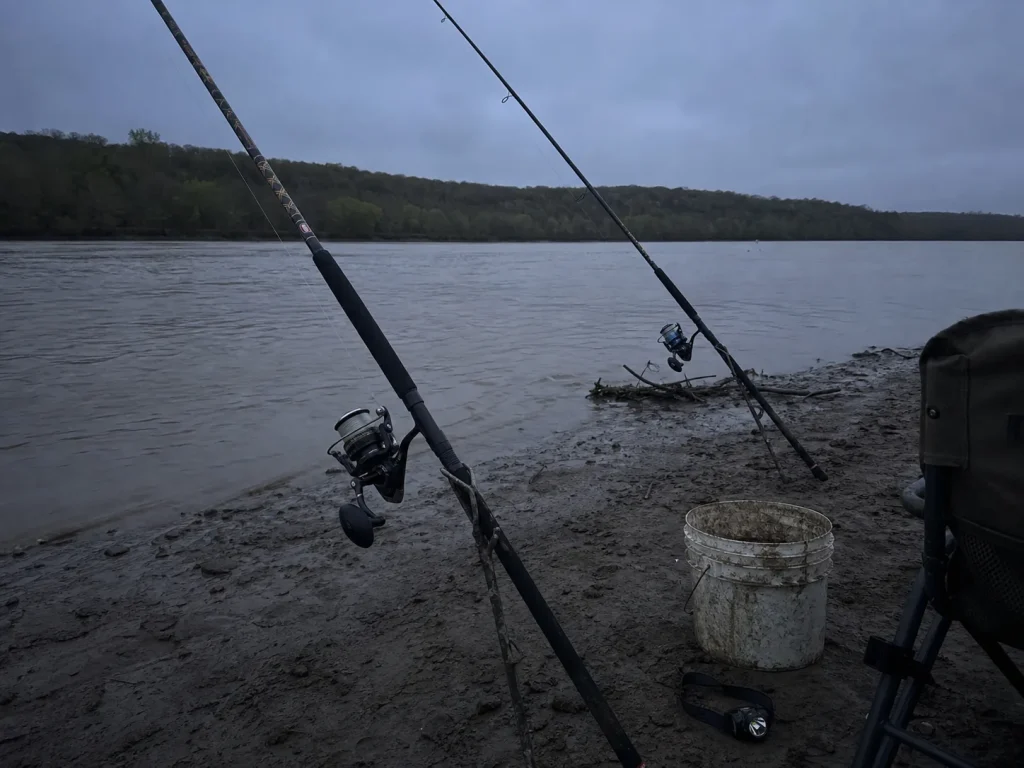 EVA-gripped PENN Squadron III surf rods parked in sand spike rod holders on a catfish riverbank