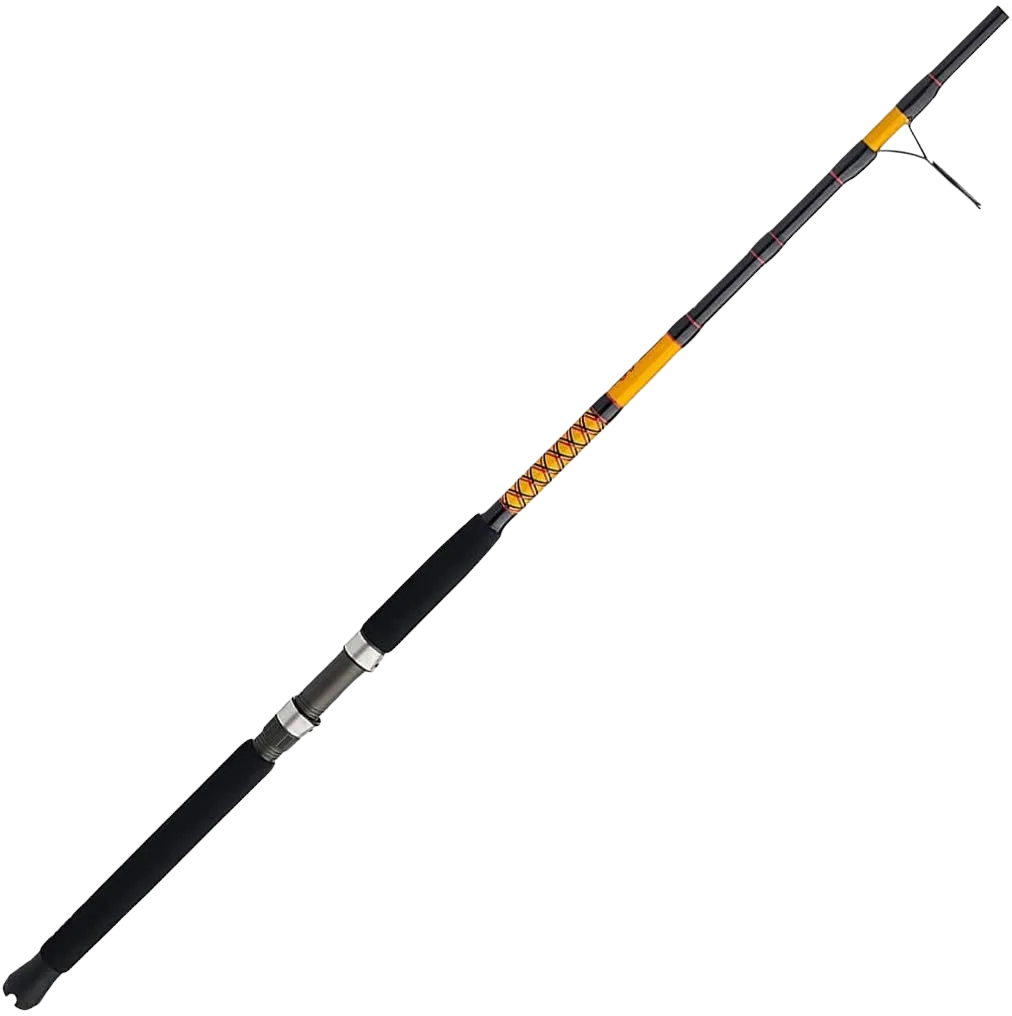 Ugly Stik Bigwater 10 foot heavy surf spinning rod