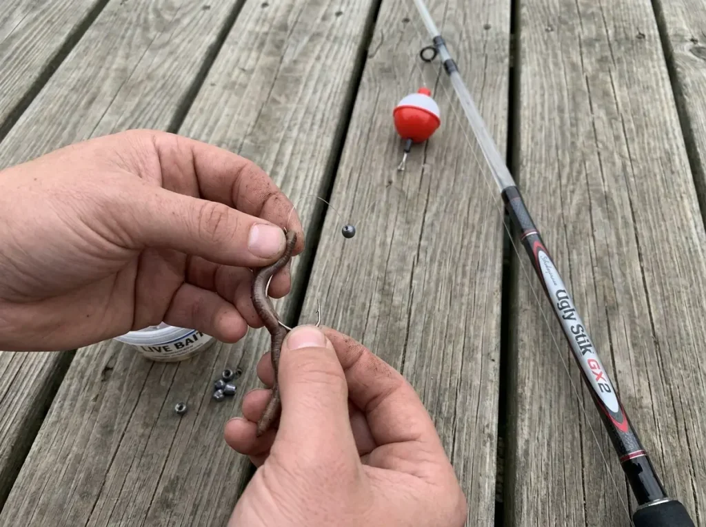 Hands threading a live worm onto a size 6 Aberdeen hook below a red-and-white bobber