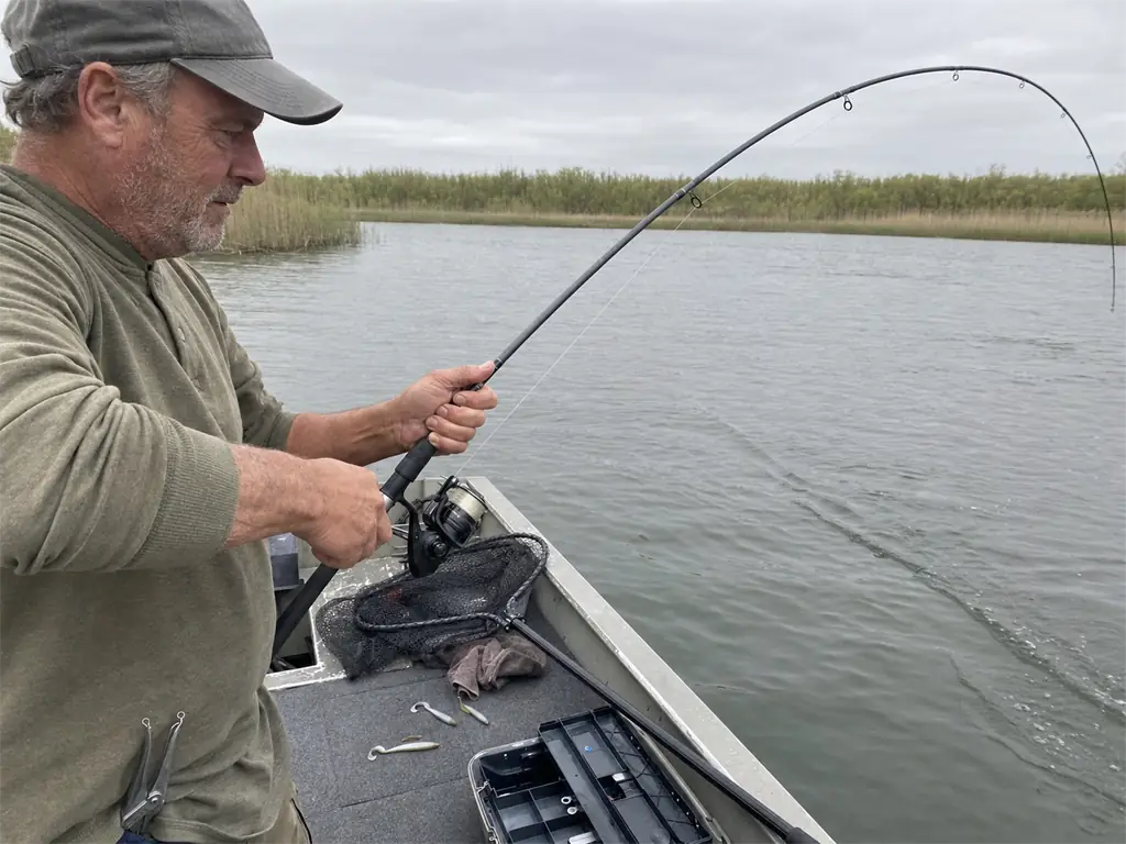 A medium power spinning rod loaded into a deep bend against a fish near the boat
